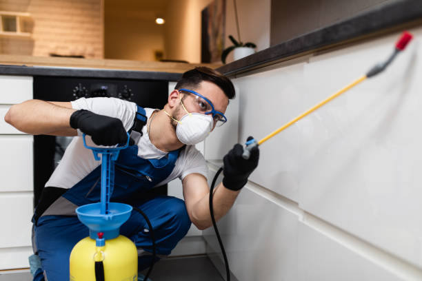 Best Pest Inspection Near Me  in De Motte, IN