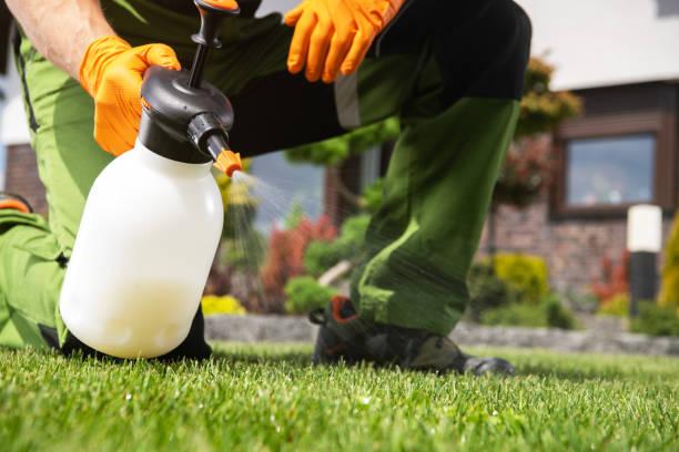 Best Best Pest Control Near Me  in De Motte, IN