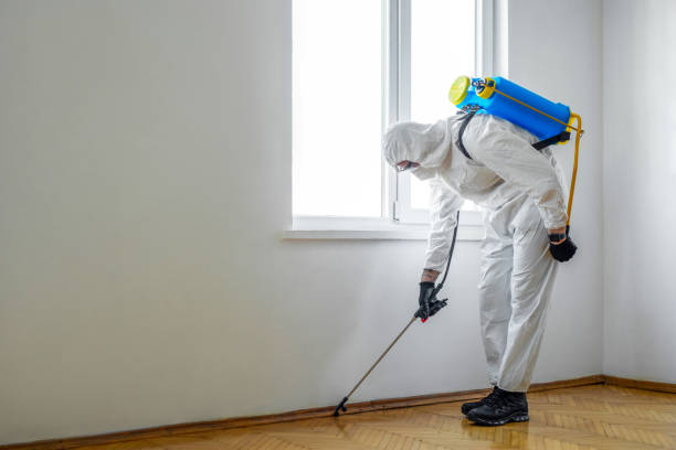 Trusted De Motte, IN Pest Control Experts